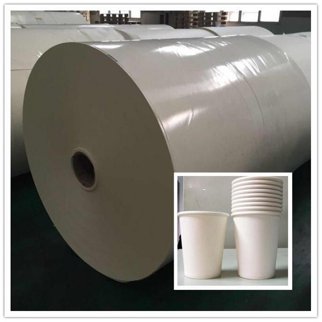 PE Coated Paper Sheet