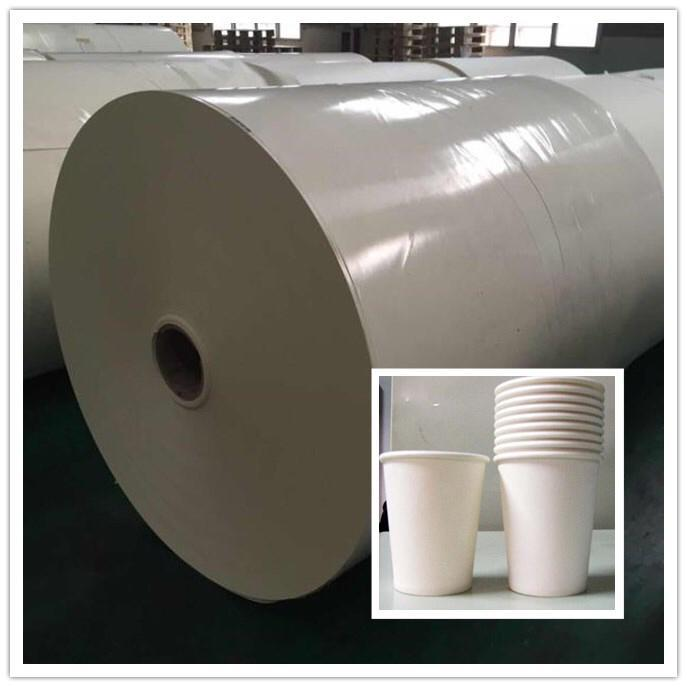 PE Coated Paper Sheet
