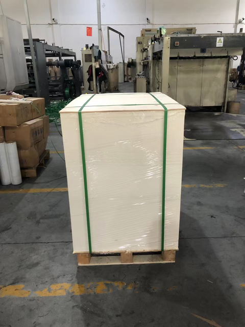 C1S Ivory Board 210gsm