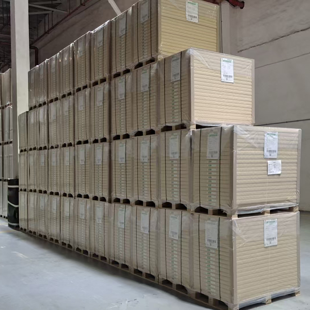 C1S Folding Box Board 230gsm Ivory Board
