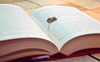 Woodfree Offset Paper