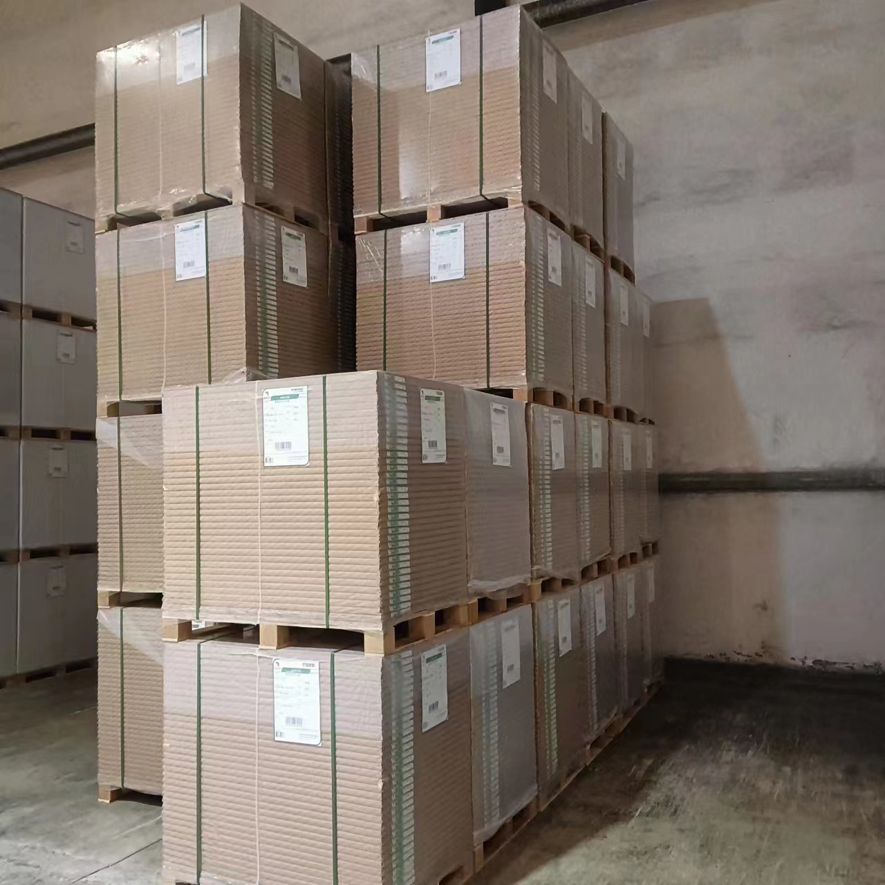 C1S Ivory Board 210gsm
