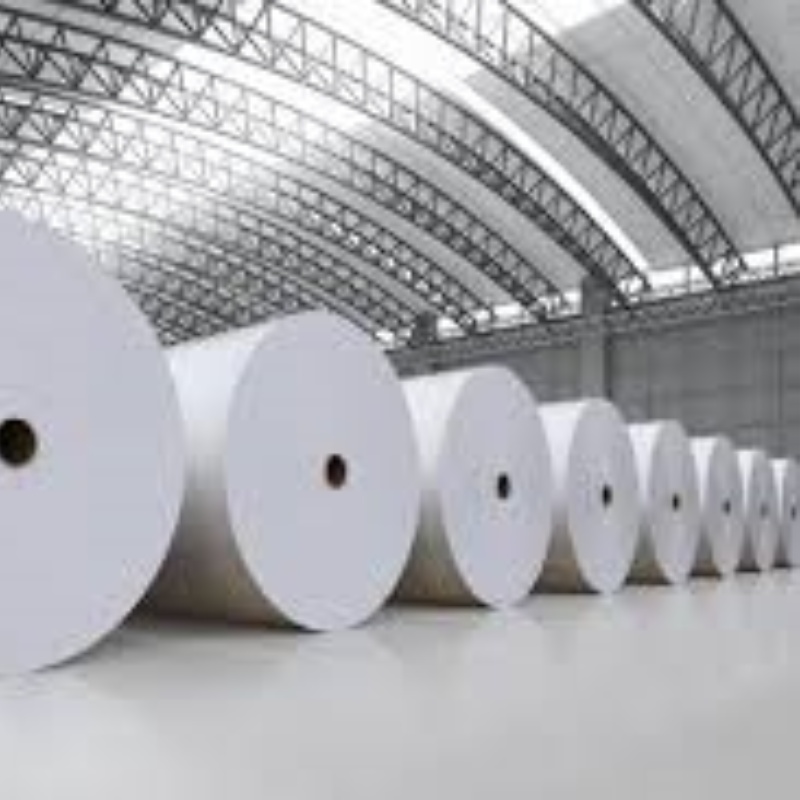 C2S Art Paper Roll