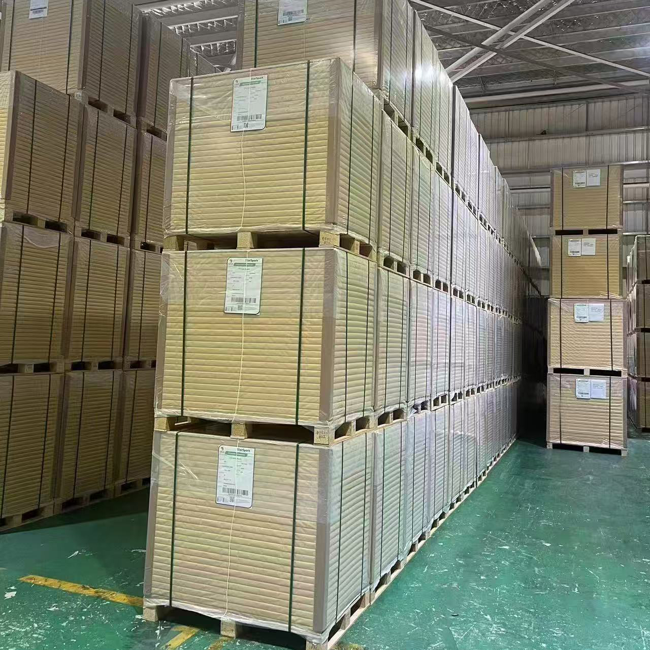 C1S Folding Box Board 250gsm Ivory Board